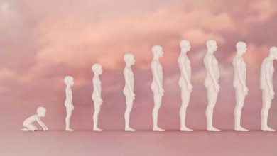 چرخه ی زندگی