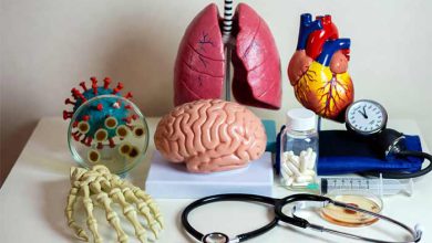 معرفی بیماریهای شایع در ایران و انواع بیماری خطرناک ایران وجهان