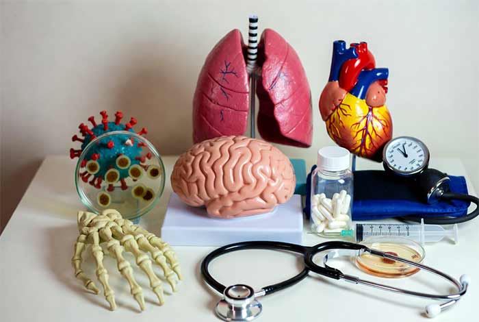 معرفی بیماریهای شایع در ایران و انواع بیماری خطرناک ایران وجهان